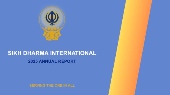SDI 2025 Annual Report
