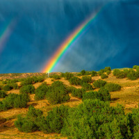 New Mexico Rainbows