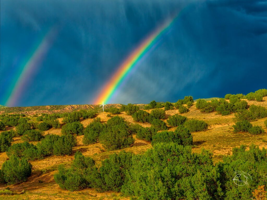 New Mexico Rainbows